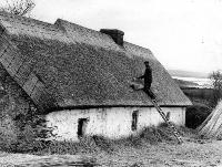 Thatcher Roofing A Cottage In Ring