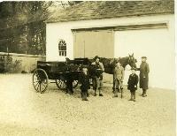 Horse And Traps, Woodhouse, Stradbally