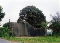 Handball Alley, Modeligo