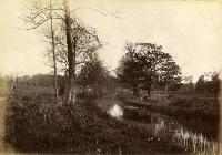 Canal At Whitfield Court, Kilmeaden