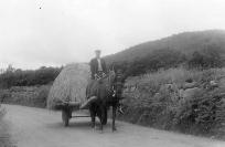 A Horse & Cart, Comeragh Mountains